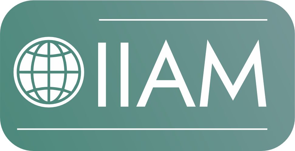 Логотип Международного Института Аудита и Менеджмента